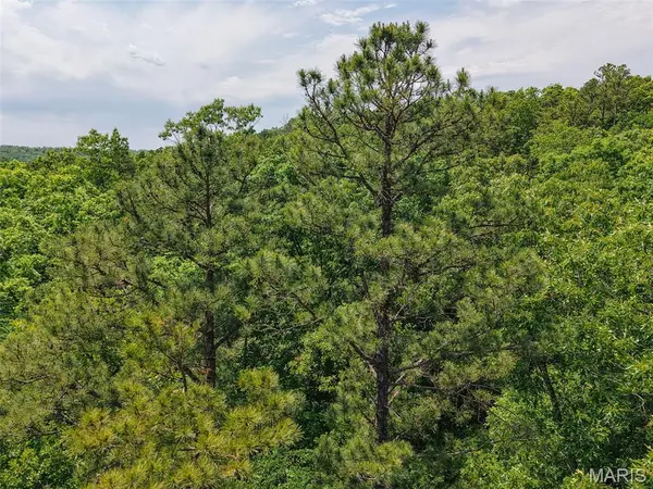 10 State Route T, Richwoods, MO 63071