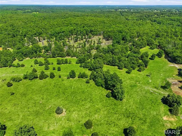 210 County Road 320, Alton, MO 65606