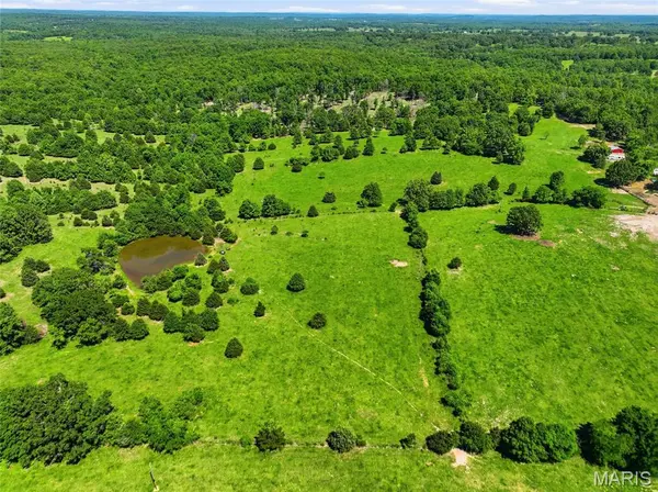 210 County Road 320, Alton, MO 65606