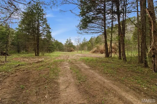 000 Highway 32, Licking, MO 65542