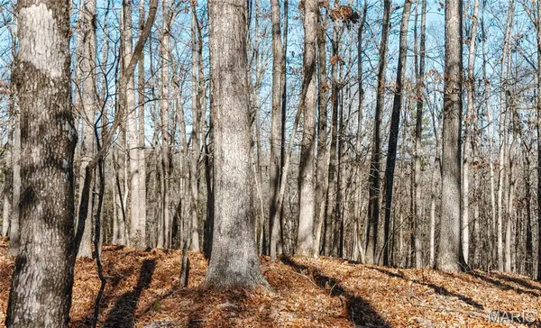 000 Wayne 215, Hiram, MO 63944