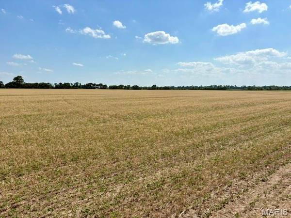 0 S Highway BB, East Prairie, MO 63845