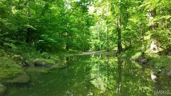 43 +/- Ac Hagedorn LN, New Florence, MO 63363