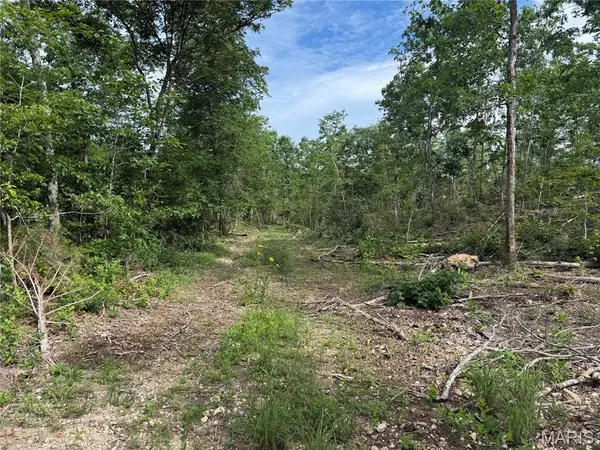 Tract 2 Hidden Valley, Annapolis, MO 63628
