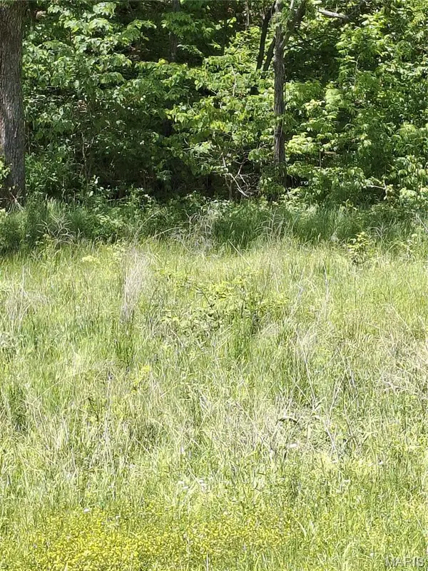 Address not disclosed, Bunker, MO 63629