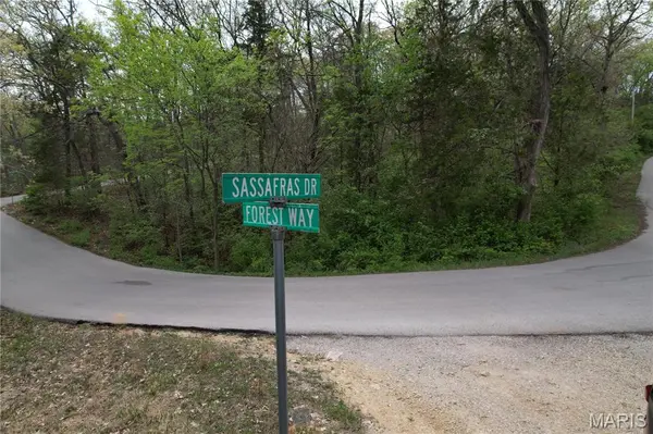 Lot 160 Sassafras, Hillsboro, MO 63049