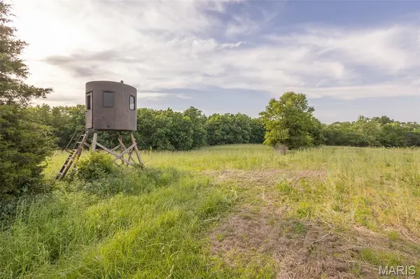 24443 Audrain Road 364, Mexico, MO 65265