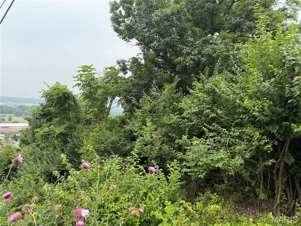 13010 Big Bend RD, St Louis, MO 63122