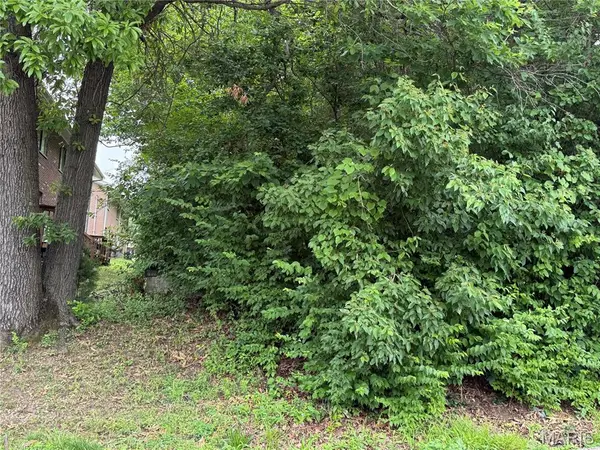 2454 Prouhet AVE, St Louis, MO 63114