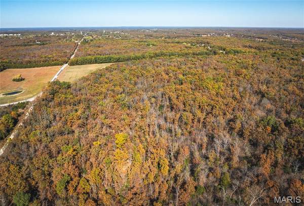 43 +/- Acres TBD Highway H, Gerald, MO 63037