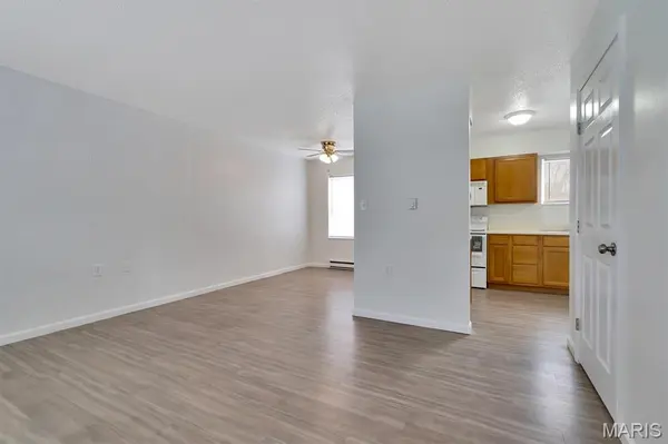 119 N 1st ST, Clarksville, MO 63336