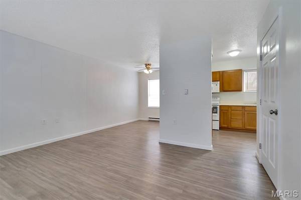 119 N 1st ST, Clarksville, MO 63336