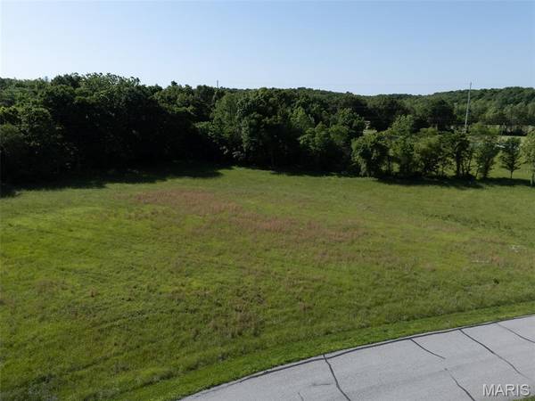 10 Parc Forest TRL, Hawk Point, MO 63349