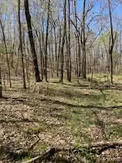 1 142-E, Doniphan, MO 63935