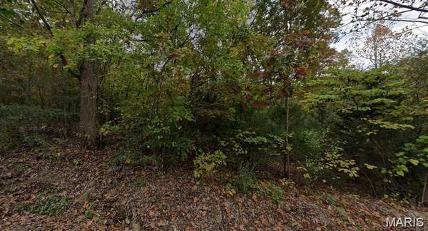 9482 James DR, French Village, MO 63036