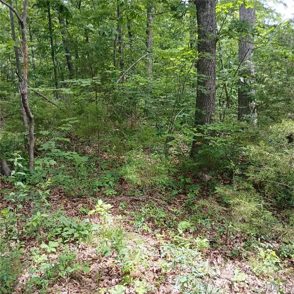 lot 3113 Quincy, Bismarck, MO 63624