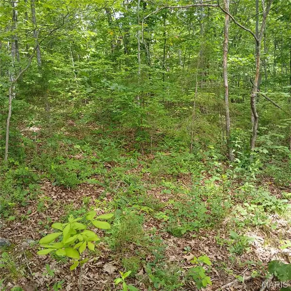 lot 3113 Quincy, Bismarck, MO 63624
