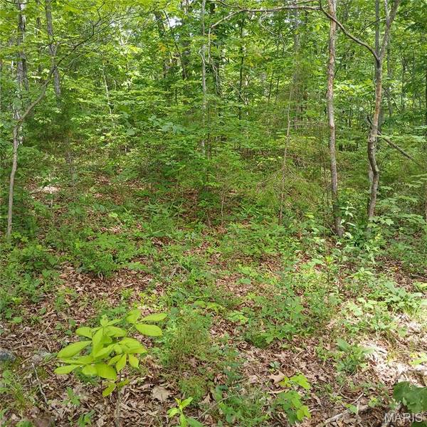 lot 3113 Quincy, Bismarck, MO 63624