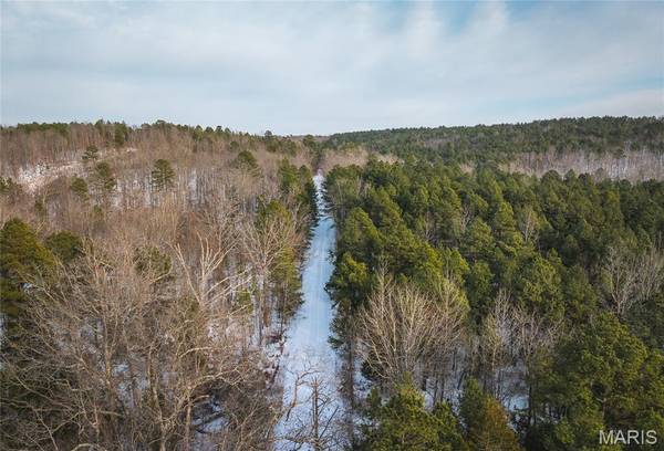 Tract 1 Highway NN, Grandin, MO 63943