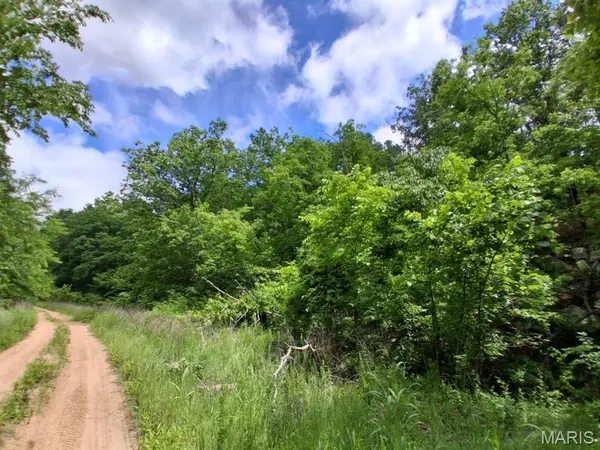 0 M- Golden DR, Raymondville, MO 65555