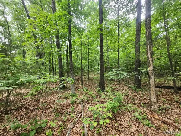5853 M- Missouri 5, Hartville, MO 65667