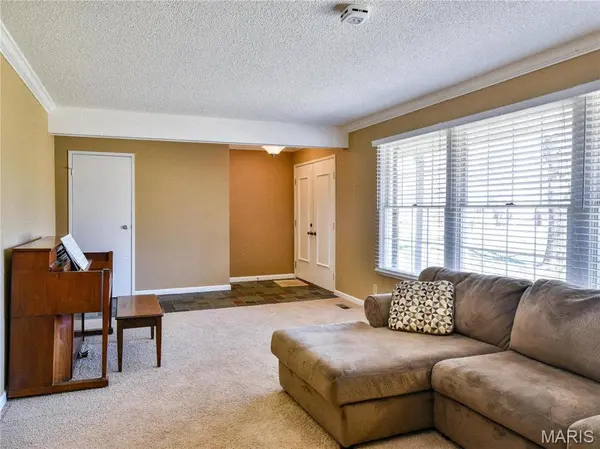 2 Sunny Forest CT, Ellisville, MO 63011