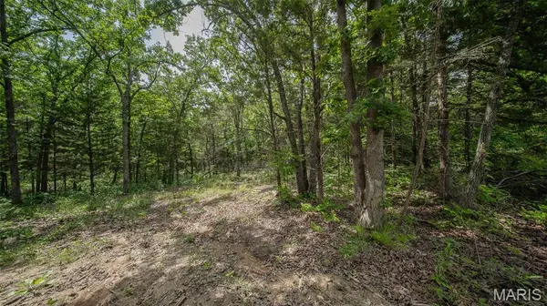 0 21.72 acres County Road 8240, Rolla, MO 65401
