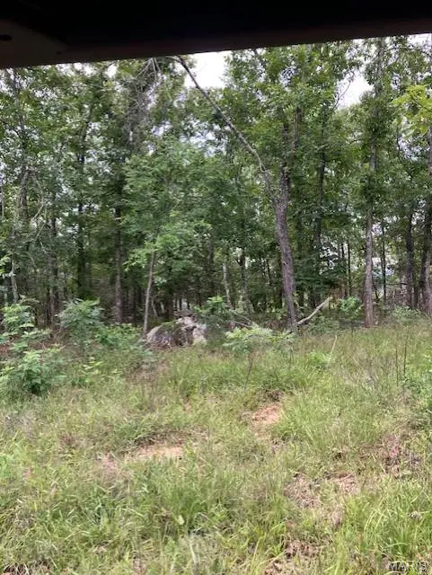 229 Madison CR 410, Fredericktown, MO 63645