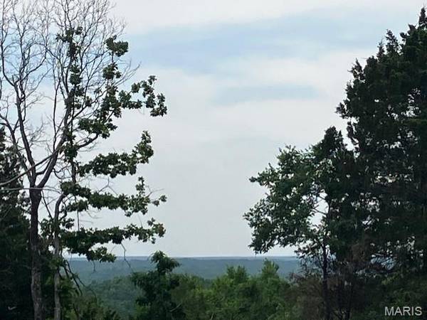 230 Madison CR 410, Fredericktown, MO 63645