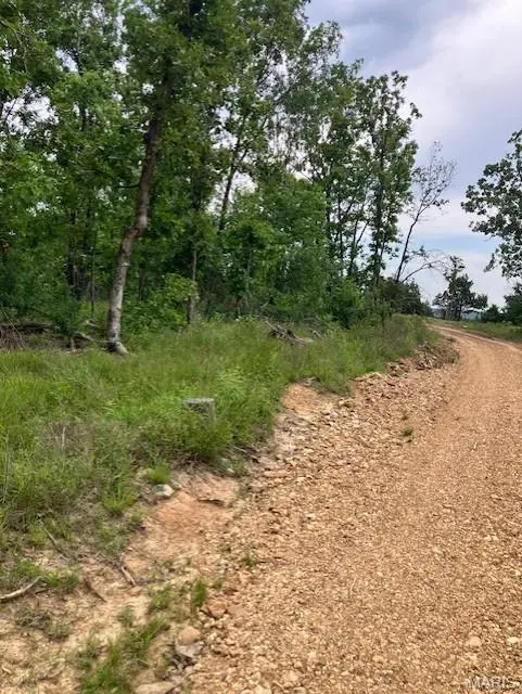 231 Madison CR 410, Fredericktown, MO 63645