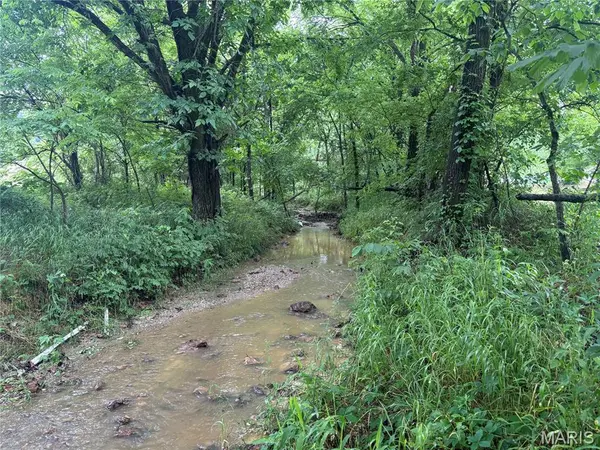 101 County Road 389, Whitewater, MO 63785