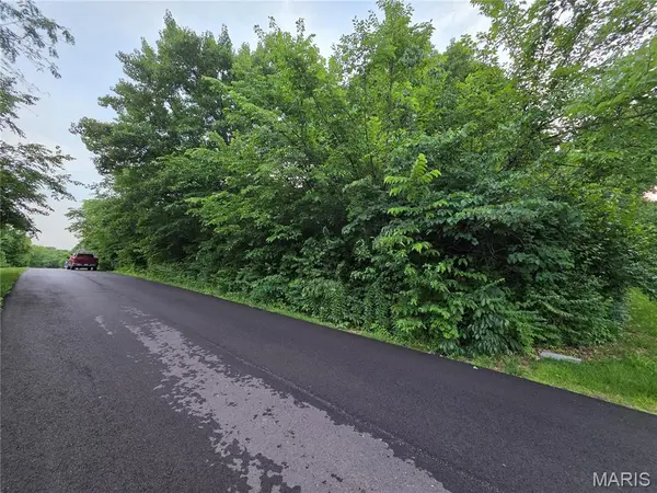 0 W Lakeview Dr, De Soto, MO 63050