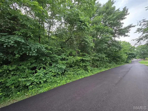 0 W Lakeview Dr, De Soto, MO 63050