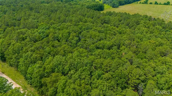 Tract C Private Drive 5294, Rolla, MO 65401