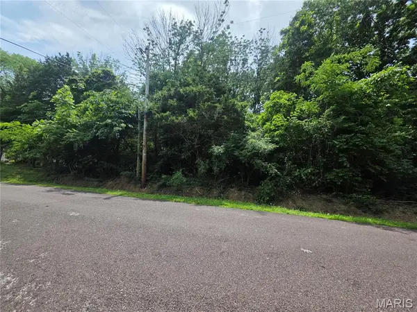 0 S Lake Shore DR, Hillsboro, MO 63050