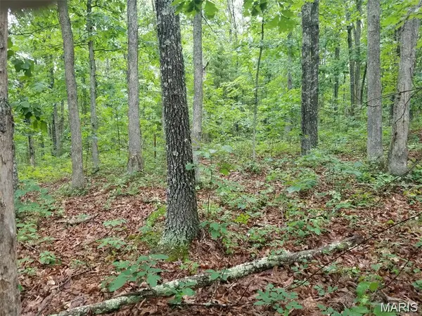 Lot 13 Hickory Ridge, Steelville, MO 65565