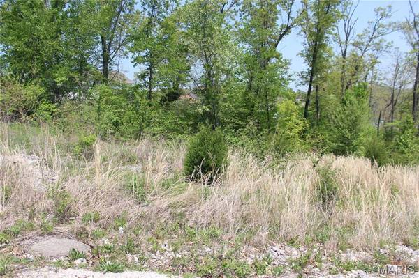 0 Trace DR, St Robert, MO 65584