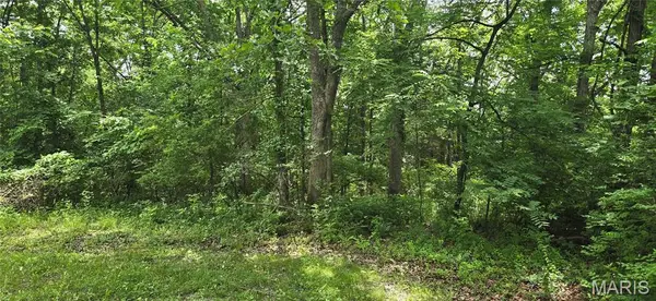 217 Anna ST, St James, MO 65559