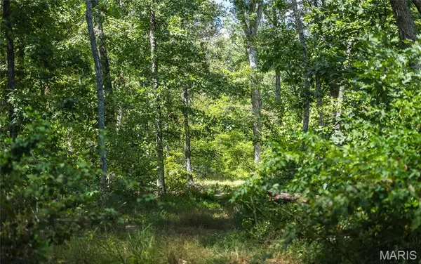 1 Buck Mountain Road, Doe Run, MO 63637