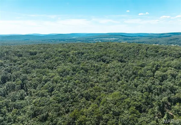 1 Buck Mountain Road, Doe Run, MO 63637