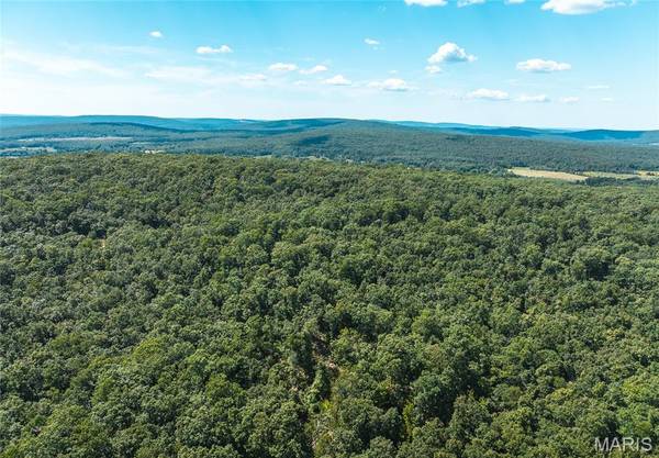 1 Buck Mountain Road, Doe Run, MO 63637