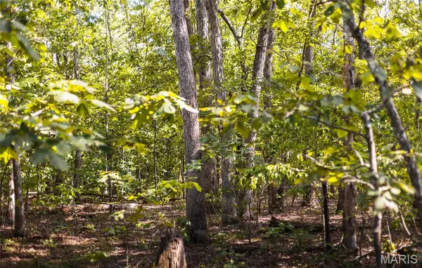 2 Buck Mountain Rd, Unincorporated, MO 63667