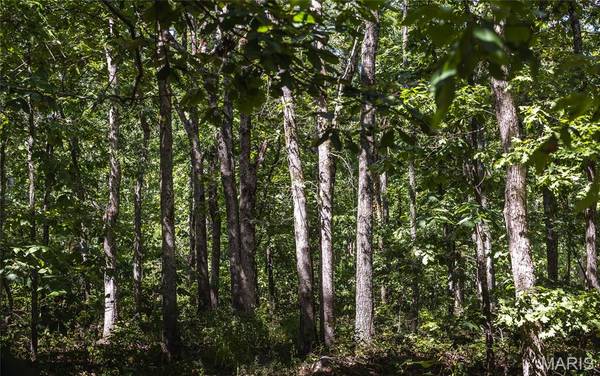 2 Buck Mountain Rd, Unincorporated, MO 63667