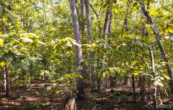 3 Buck Mountain Road, Doe Run, MO 63667