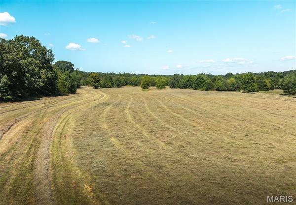 4 Buck Mountain Road, Doe Run, MO 63637