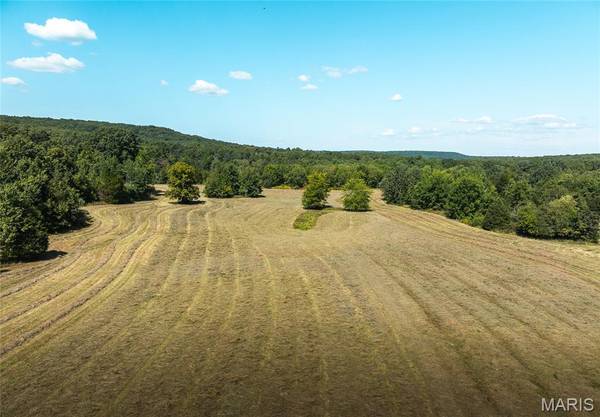 4 Buck Mountain Road, Doe Run, MO 63637