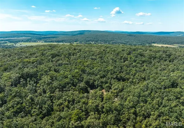 5 Buck Mountain Road, Doe Run, MO 63637