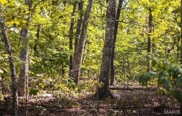 6 Buck Mountain Road, Farmington, MO 63640