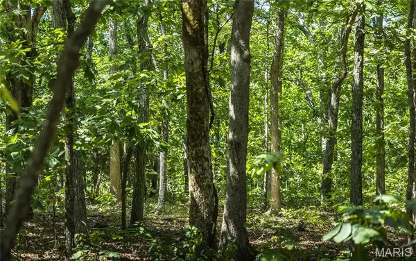 6 Buck Mountain Road, Farmington, MO 63640