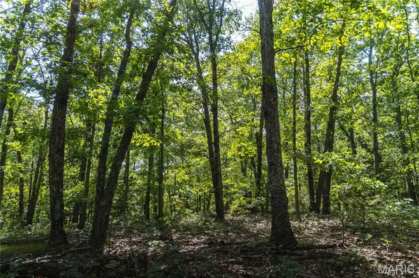 275 Oak Ridge RD, Bourbon, MO 65441
